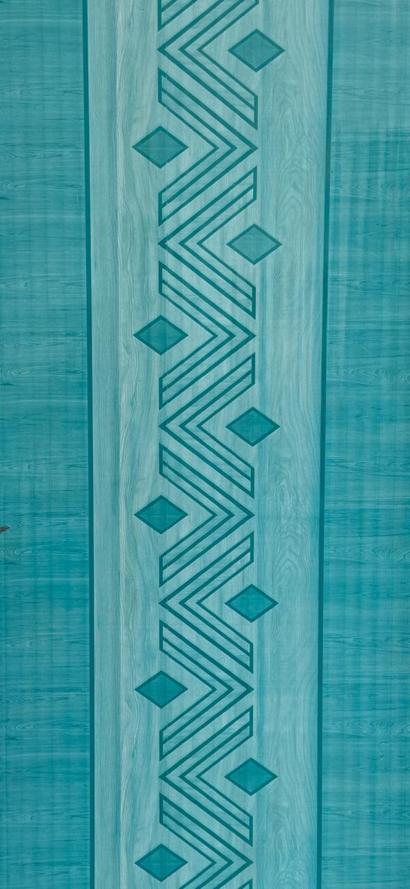 PVC DOOR